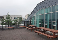 테라스